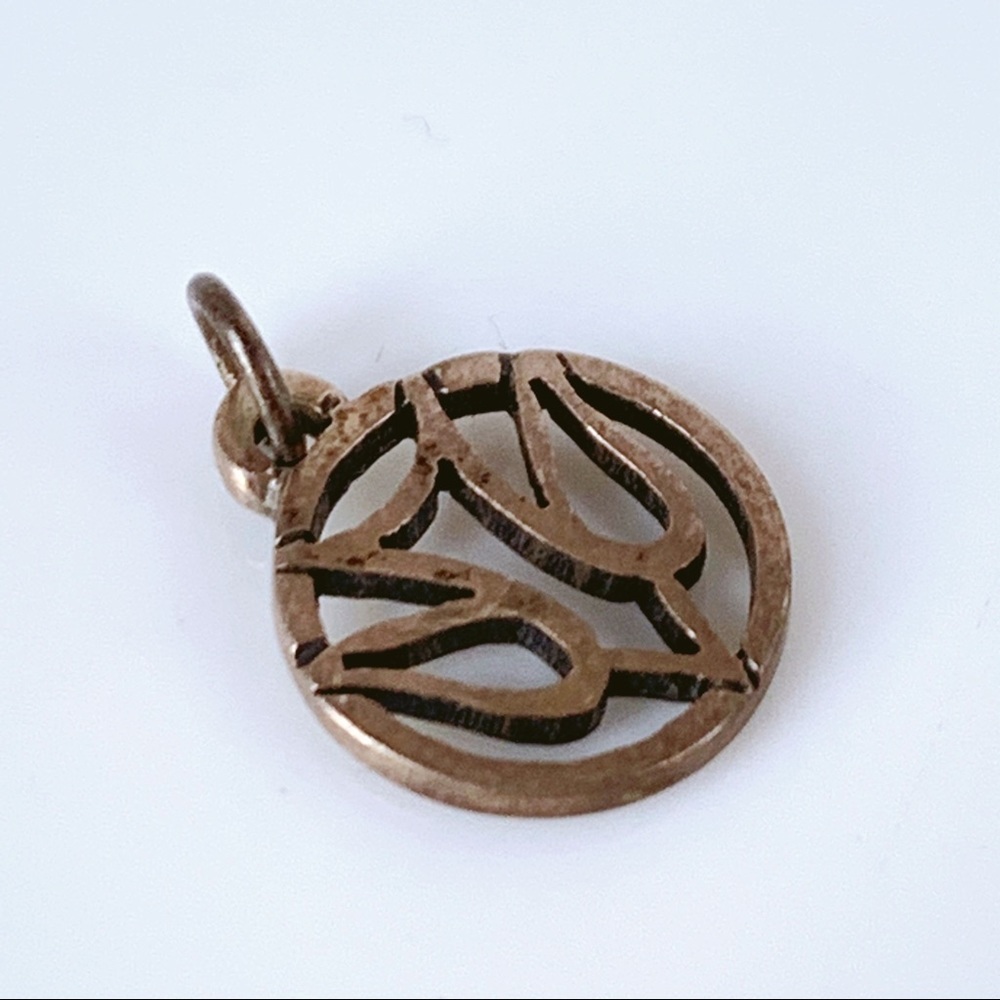 James Avery Retired Descending Dove Circle Charm - Picture 2 of 6